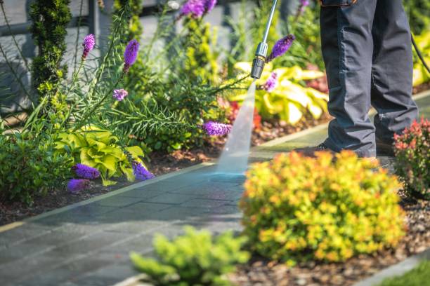 Best Driveway Pressure Washing  in Parkwood, CA